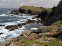 Cape Clear